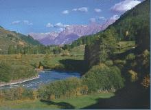 Lavin3