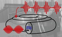 Pitch_Cochlea New publication in Nature Physics